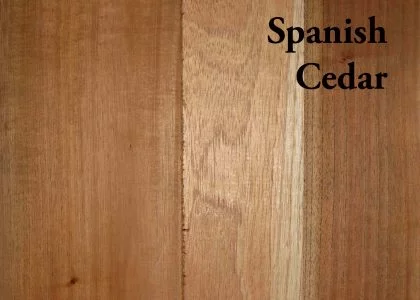 up close shot of wood grain to show spanish cedar wood characteristics