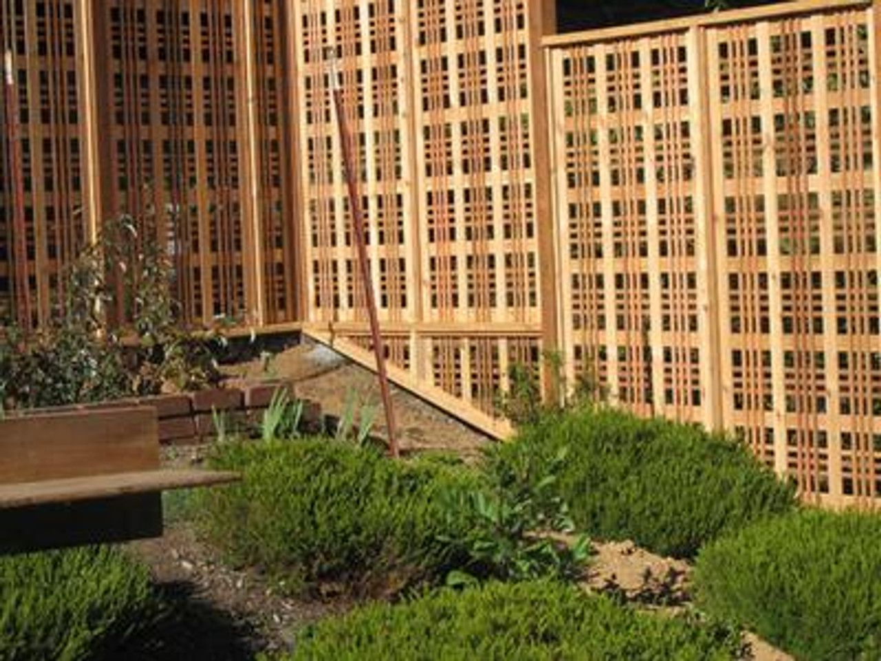 Catalina Woodway Cedar Lattice - Image 2