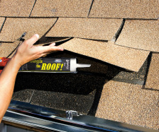 Through The Roof! / Clear Waterproof Sealant - Image 3