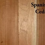 up close shot of spanish cedar wood